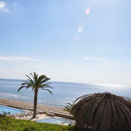 Delfin In Calpe